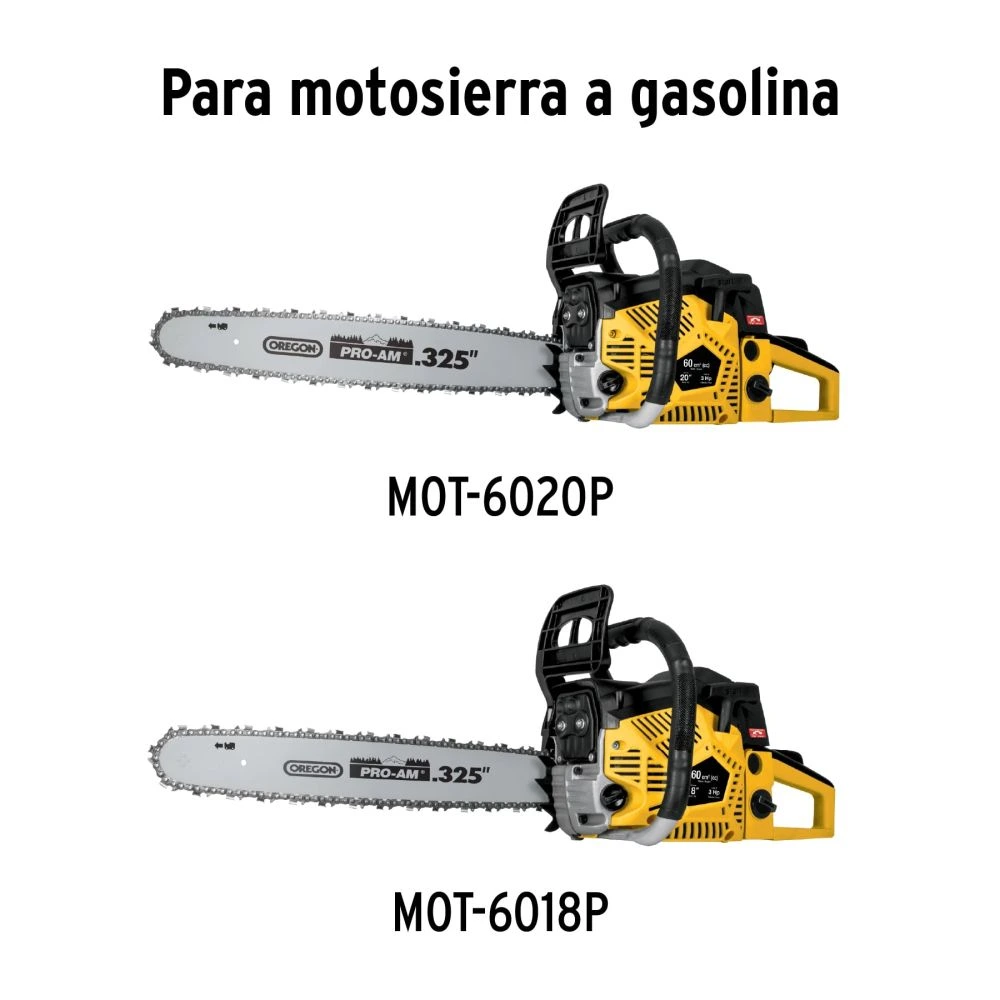 CB-MOT-GRUPO2+FC1.webp