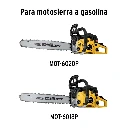 CB-MOT-GRUPO2+FC1.webp