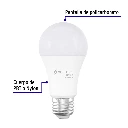LED-100CB+FC1.webp