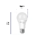 LED-100CB+FC2.webp
