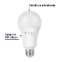 LED-125CB+FC1.webp