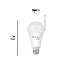 LED-125CB+FC2.webp