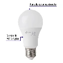 LED-100FBX4+FC1.webp