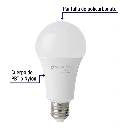 LED-125FBX4+FC1.webp