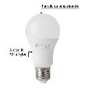 LED-100FB+FC1.webp