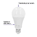 LED-125FB+FC1.webp