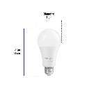 LED-125FB+FC2.webp