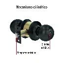 BAL-NE-EP+FC1.webp