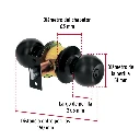 BAL-NE-RP+FC2.webp