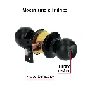 BAL-NE-RP+FC1.webp