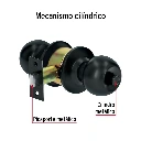 BAL-NE-BP+FC1.webp