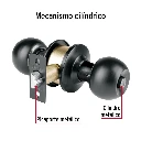 BAL-NE-RPB+FC1.webp