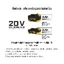DESI-20P+D1.webp