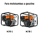 CB-GRUPO1+FC1.webp