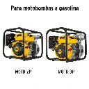 CB-GRUPO2+FC1.webp