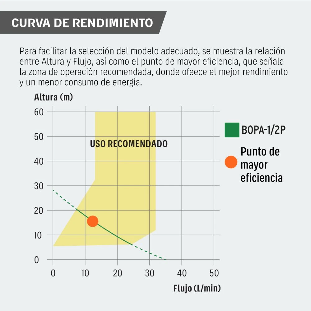 BOPA-1-2P+BIZQ1.webp