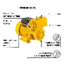 BOPA-3-4P+FC1.webp