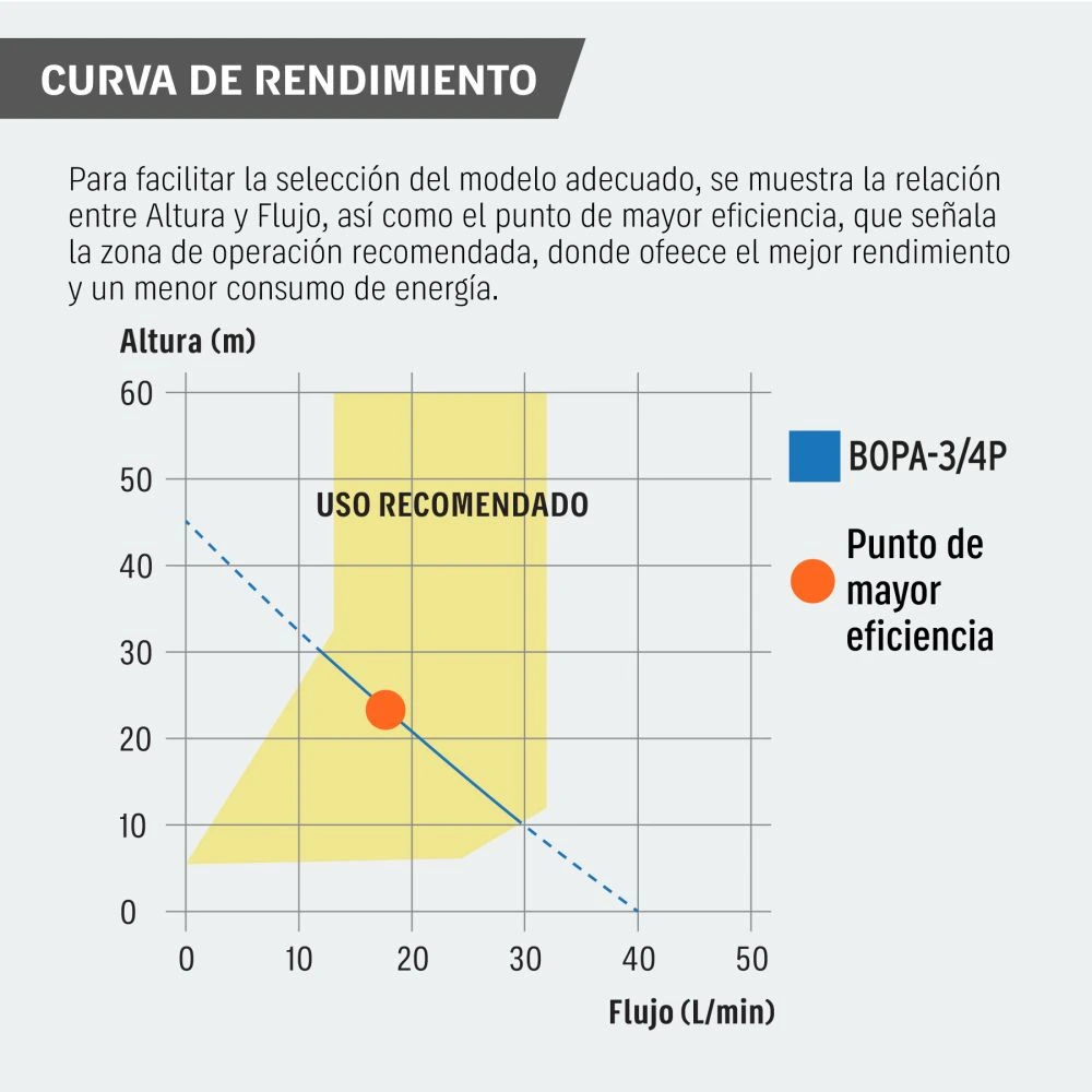 BOPA-3-4P+BIZQ1.webp