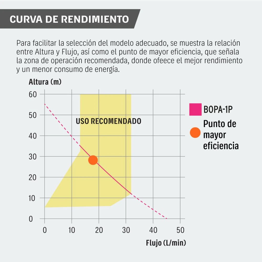 BOPA-1P+BIZQ1.webp