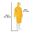 IMPER-S-P+FC2.webp