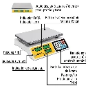 BASE-40P+FC1.webp
