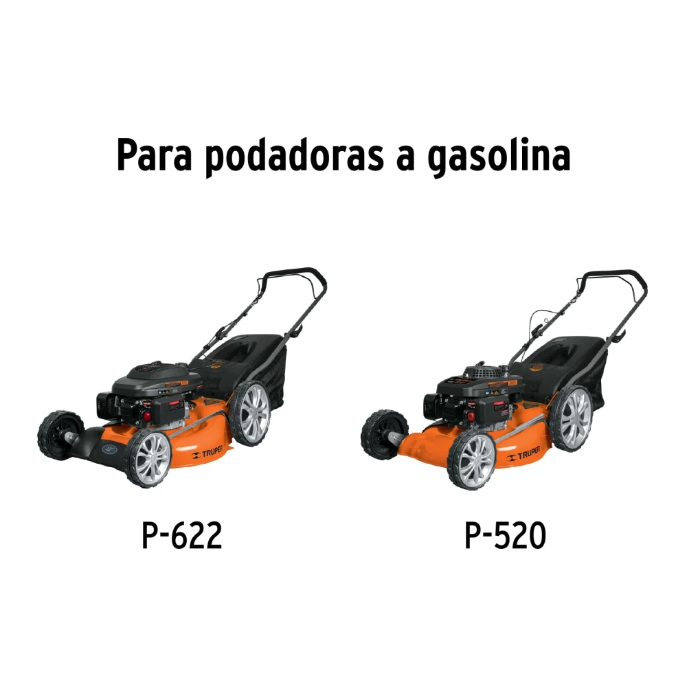 CB-P-GRUPO1+FC1.webp