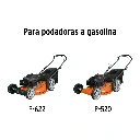 CB-P-GRUPO1+FC1.webp