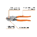 PE-CA-10M+BIZQ1.webp