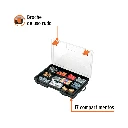 ORG-11+FC1.webp