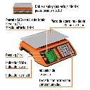 BASE-20+FC1.webp