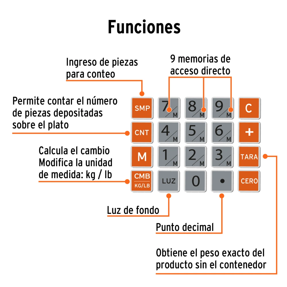 BASE-20+FC2.webp