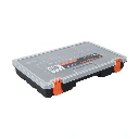 ORG-13+D3.webp