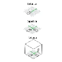 MELA-100+FC3.webp