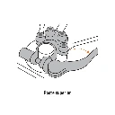 TEBA-4+D1.webp