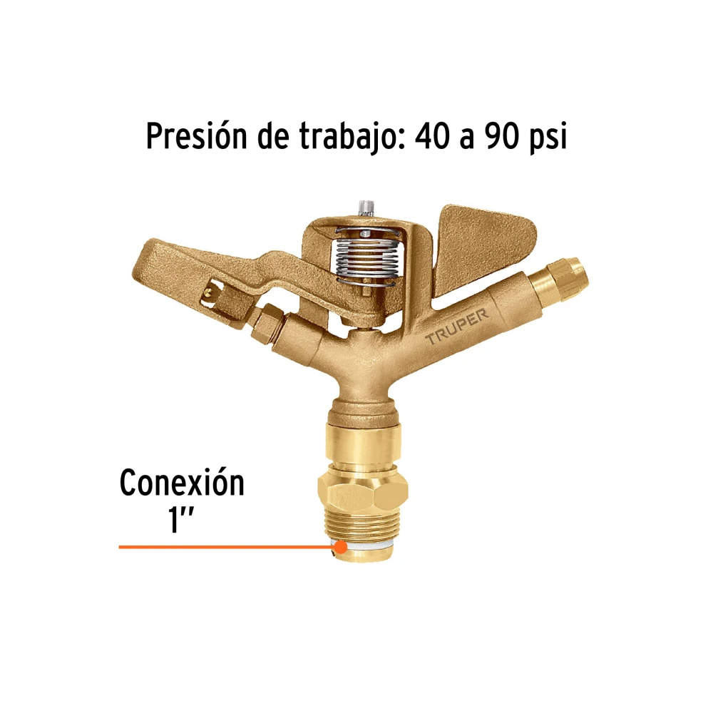 ASP-1BR+FC2.webp