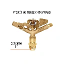 ASP-1BR+FC2.webp