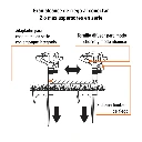 ASP-11R+D2.webp