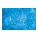 PICE-13+D1.webp