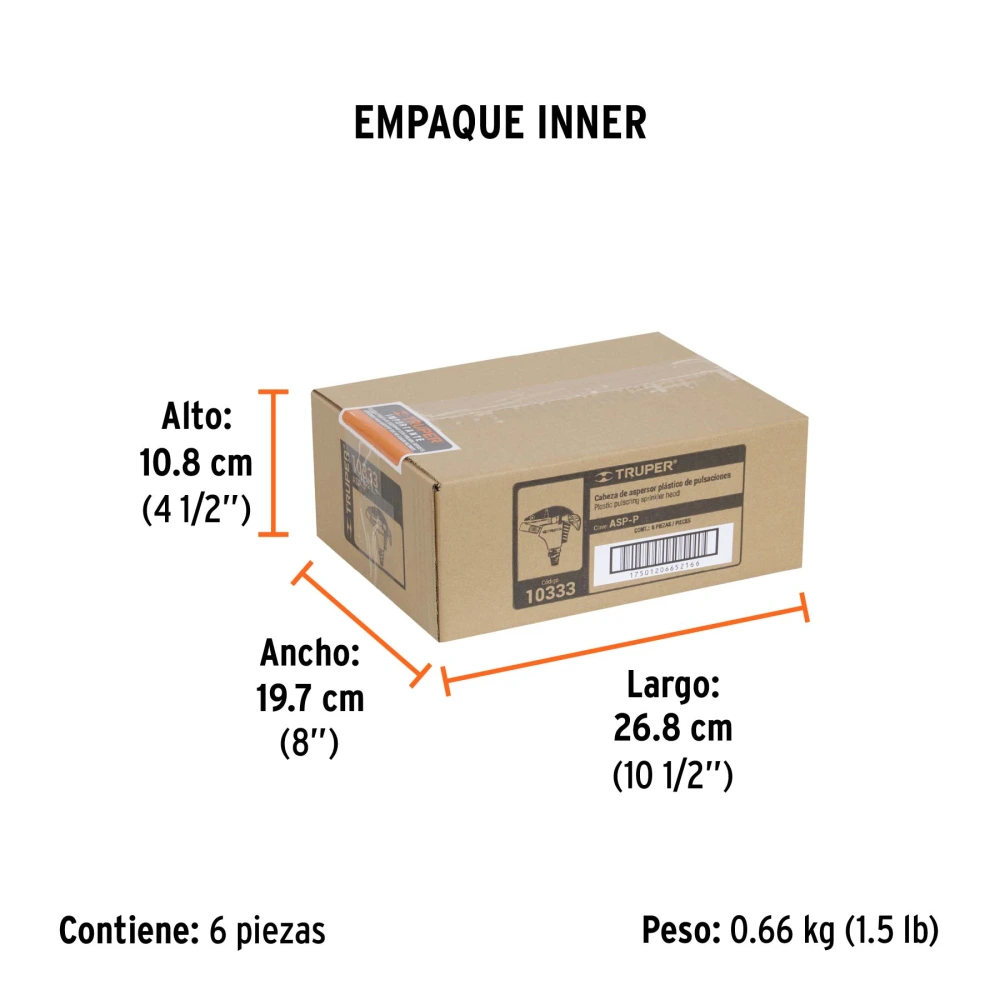 ASP-P+EI1.webp