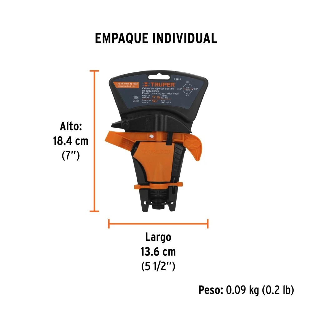 ASP-P+EIND1.webp