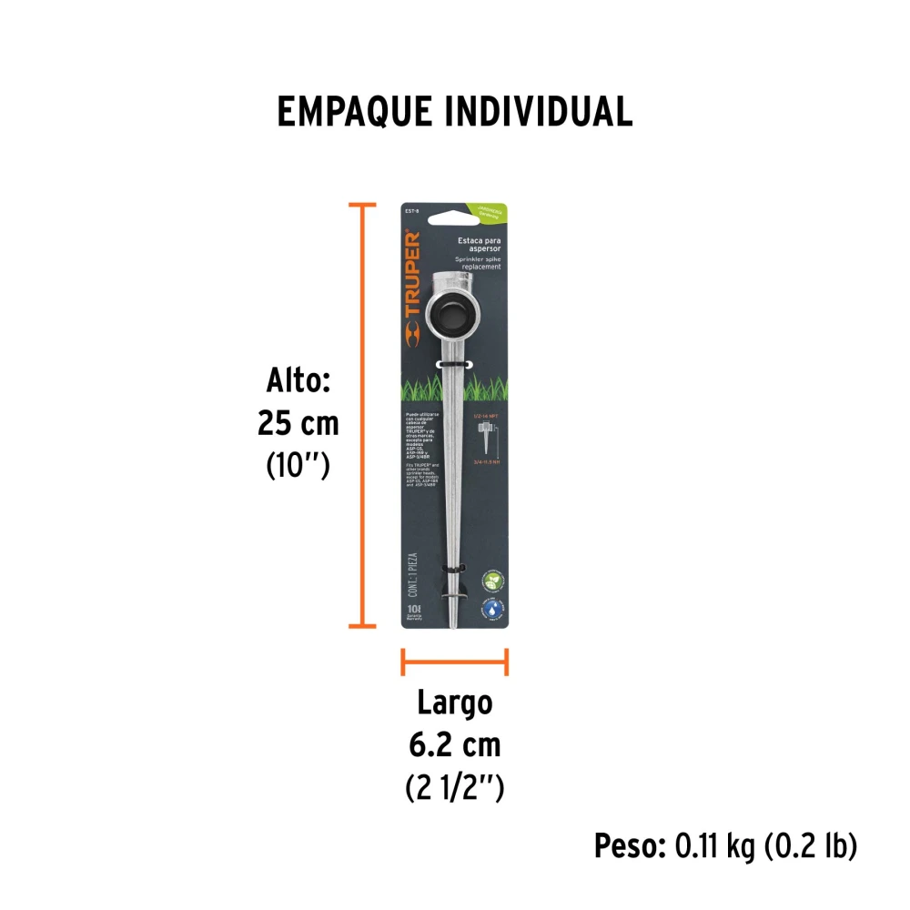 EST-8+EIND1.webp