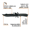CTA-7C+FC1.webp