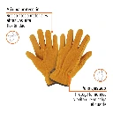GU-243+P1.webp