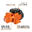 BOAP-3-4+FC1.webp