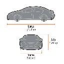 CUA-CH+FC2.webp
