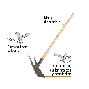 A2C+FC1.webp