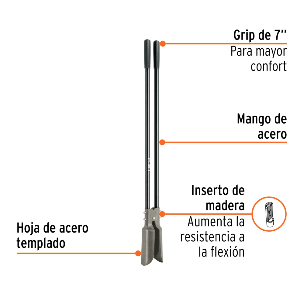 CA-36M+BIZQ1.webp