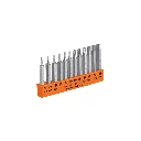 101675 JUEGO DE 12 PUNTAS TORX COMBINADAS C/SEGURO LARGO 2', EXPERT