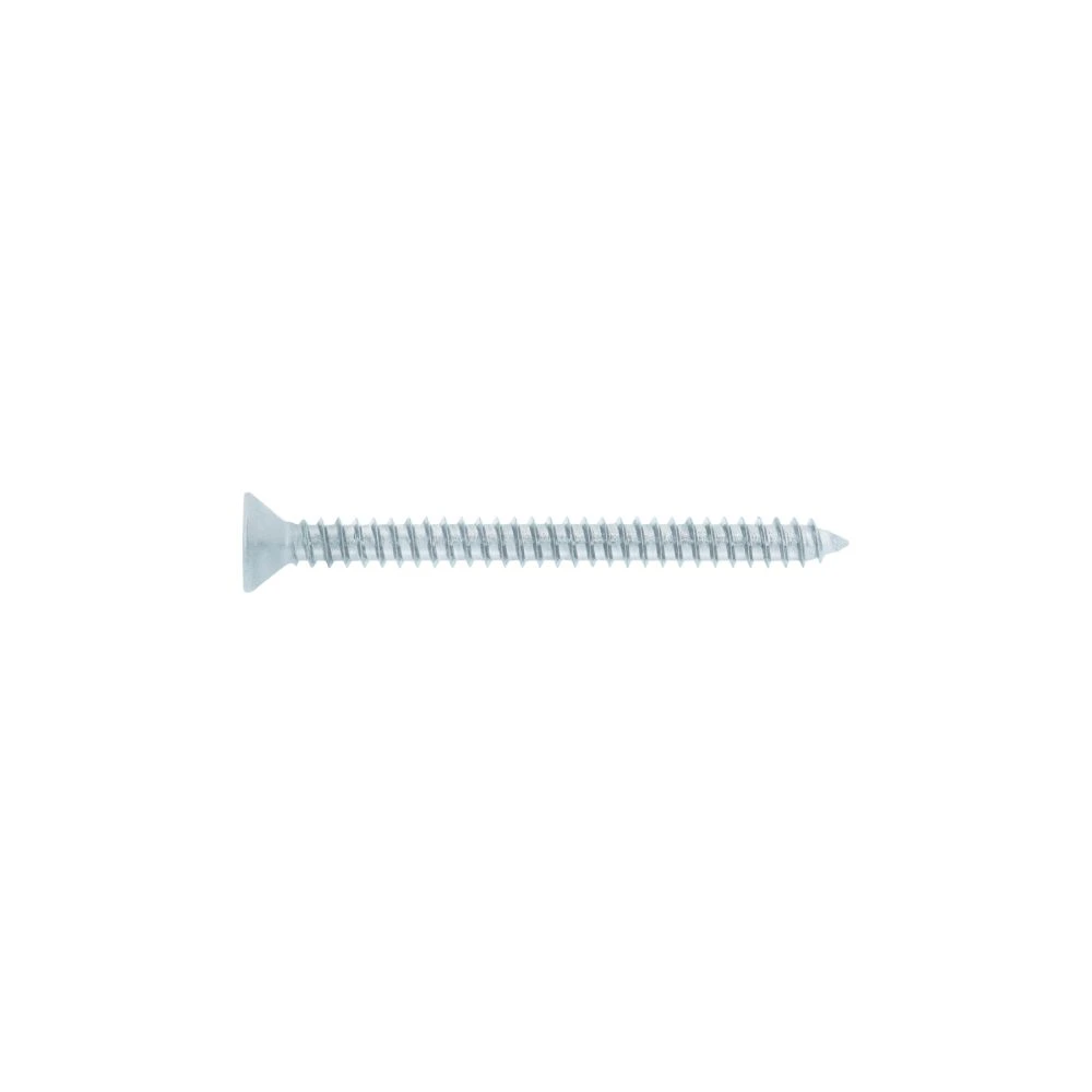 [PILP-12X2-1/2] 40902 BOLSA 100 PIJAS PARA LÁMINA CABEZA PLANA #12 X 2-1/2', FIERO
