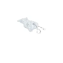 40089 SAPO 2' PARA WC, PVC TRANSPARENTE, CADENA INOXIDABLE, FOSET